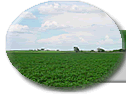 Farmland Search - Find farmland for sale