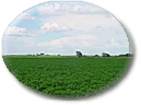 Farmland Homes For Sale