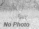 Acres Barn House Pastures Great Hunting in Parke County In