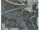 107 Acres in Grand Bay Alabama with 2 Satsuma Orchards