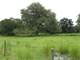 11.27 Acres - Sumter County Fla