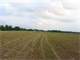 120 Ac. Farm Land Twelve Mi. N Hartsville So. Carolina Near Lake Robinson