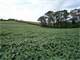 125 Acres Valley Land Hunting Trout Stream Farmland in Pennsylvania