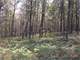 1400Sq Log Home 2 Car Garage Full Basement. Sits ON Wooded Acres