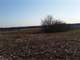 160 Acre Farm Sale with 7 Percent Cash Return $470000 Obo
