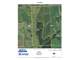 194.50 Acres Organic Land Located in Iowa County Wisconsin