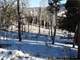 3 Acres Allows for Horses Trees and Views Fairplay CO