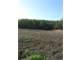 4.5 Black Dirt Farmland Organic Goshen NY Very Valuable Easily Accessible
