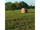 40.05 Acres Farmland and Small Forest Area