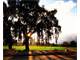 52 Acres-Prime Farmland ON the Kings River with Riparian Rights-California