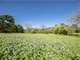 Stunning 120 Acs with Ponds Creek Pasture Crops Hunting Photo 7