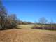 For Sale 11.49 Acres Gently Rolling Rare Bermuda Hay Field Photo 2