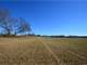 For Sale 11.49 Acres Gently Rolling Rare Bermuda Hay Field Photo 4