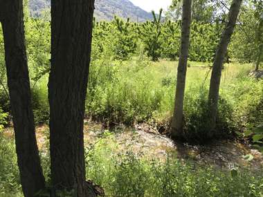 Listing: 7462346, Oroville, WA