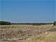Rolling 98 Acres with Two Stock Tanks Creek Fenced Photo 3