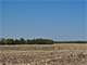 Rolling 98 Acres with Two Stock Tanks Creek Fenced Photo 4
