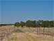 Rolling 98 Acres with Two Stock Tanks Creek Fenced Photo 6