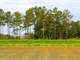 8.7 Acre Certified Organic Farm with Farm Field and Two Greenhouses GA