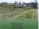 40Acre Dairy Farm with Pasture Some Tillable and Running Creek Photo 1