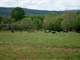 Acre Farm 1000 Feet Frontage ON Oostanaula River