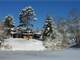 Acre Farm with Acres Pasture. Acres Woods Home 2 Heated Buildings