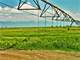 Acreage in the Fertile San Luis Valley Colorado