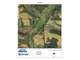 Acres More or Less Vacant Land