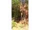 Acres for Sale Manning SC