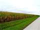 Almost 1000 Ohio Tillable Acres for Rent Delaware Union Marion CO