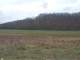 Amazing Versatile 210 Acres. Fields Hunting Timber Development