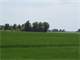 Arkansas Rice Farm ON Black River for Sale 973 Acres Duck Hunting Income