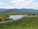 Beatty Ranch River Front and a Artesian Well