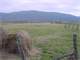 Beautiful Gentlemans Farm ON the Sequatchie River in Bledsoe County TN