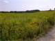 Brookville PA 88.5 Acres Undeveloped Land