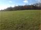 Certified Organic Farmland 16.21 Acres