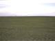 Dailey Dryland Crp Land Auction