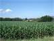 Farm with 1 Old Farm House 1 Pole Bldg Flat Land for Crops