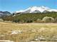 Horse Property with Astounding Views