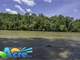 Kentucky Land Auction Whitley County Riverfront Acreage