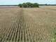 Milam and Falls County Farmland Auction