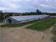 Missouri Turkey and Cattle Farm