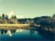 Oregon Coast Farm for Sale