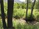 Organic Farm Acreage. Tonasket Creek Runs Along 668 Feet Property Line