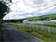 Premium Pennsylvania Horse Ranch Auction