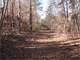 Prime Hunting Property-Russell County-Black Belt Region