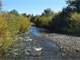 Purgatoire River Ranch - Valuable Water Rights and Premium Hunting