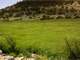 Thirty-Five Acre Horse Property with Live Water-1868 Water Rights-Nice Home