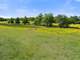 Turn Key Texas Ranch Auction