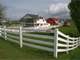 Your Own Horse Paradise ON Island in the Lower Columbia River Cathlamet