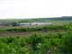 Court Ordered Auction Turn-Key Idaho Potato Farm Live and Online Photo 17